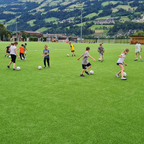Bild
