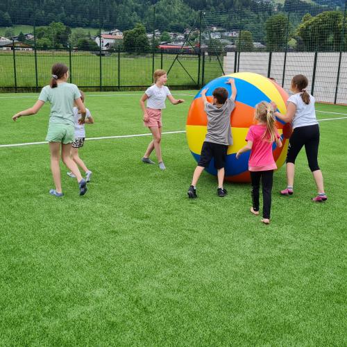 Bild
