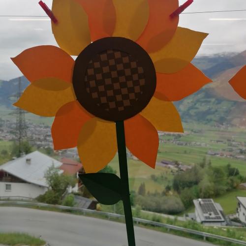 Sonnenblume